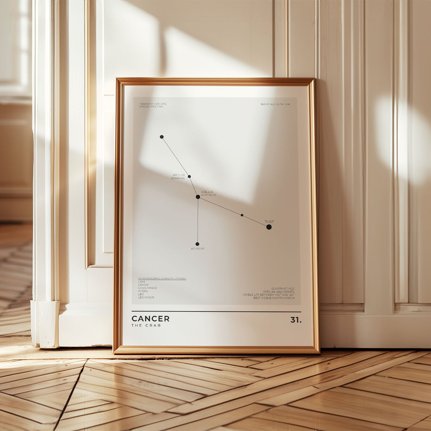 Pisces Constellation Art Print