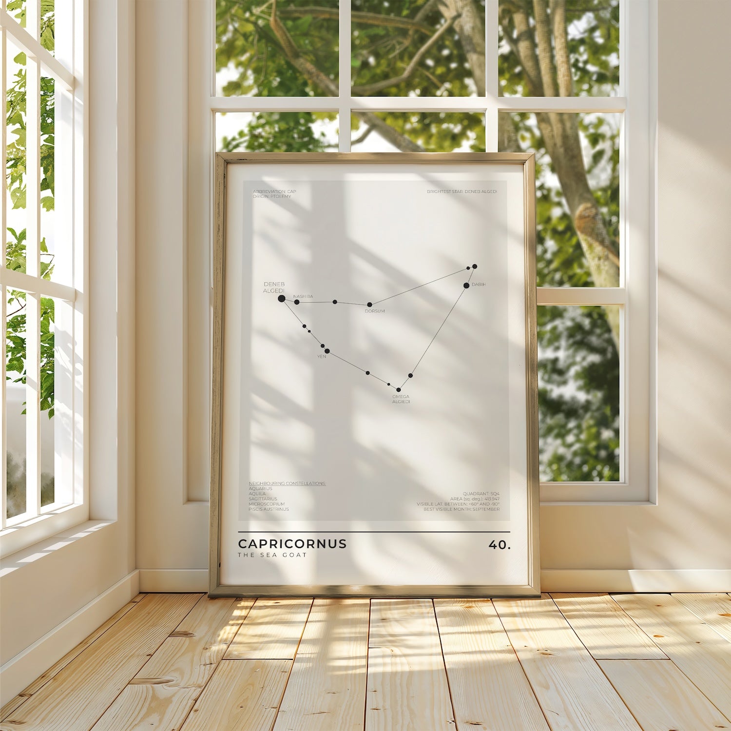 Capricornus Constellation Art Print