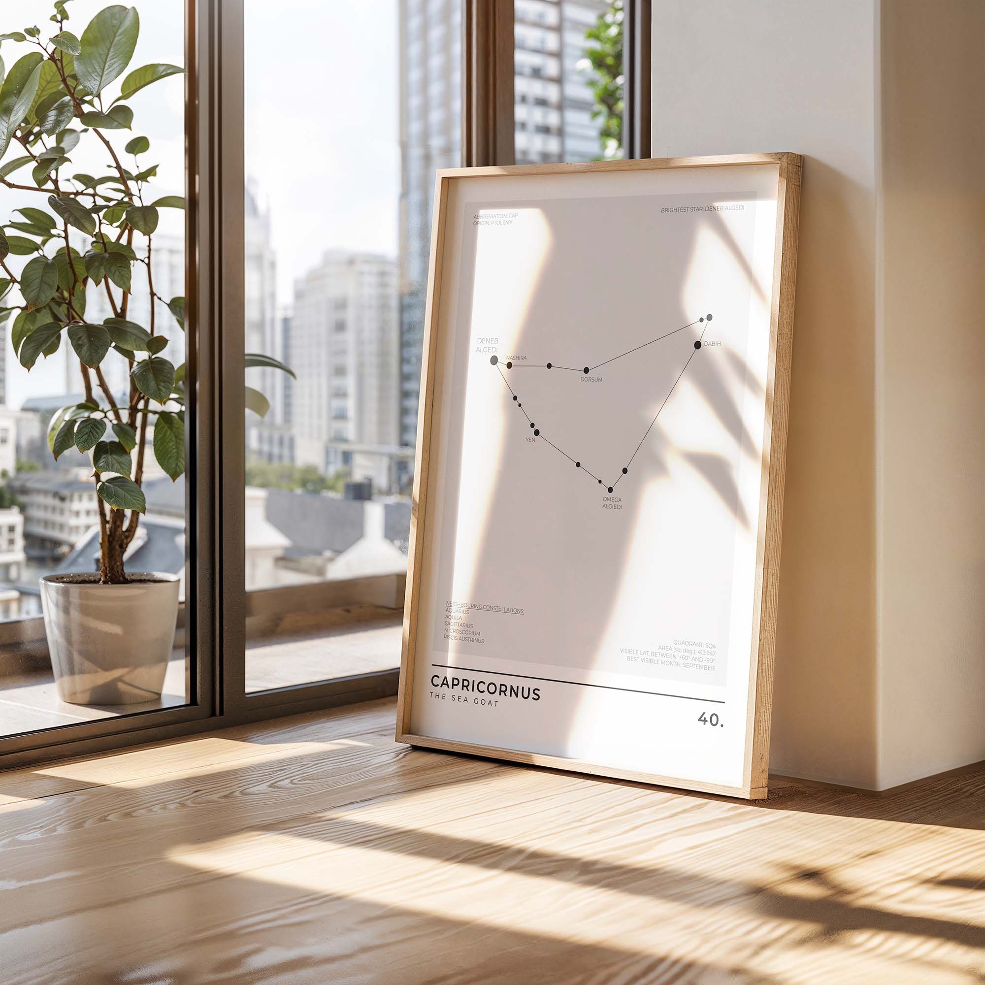Capricornus Constellation Art Print