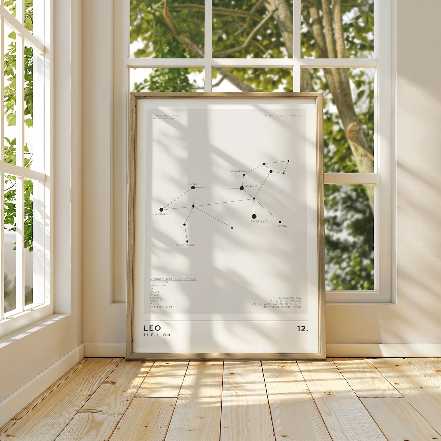 Leo Constellation Art Print