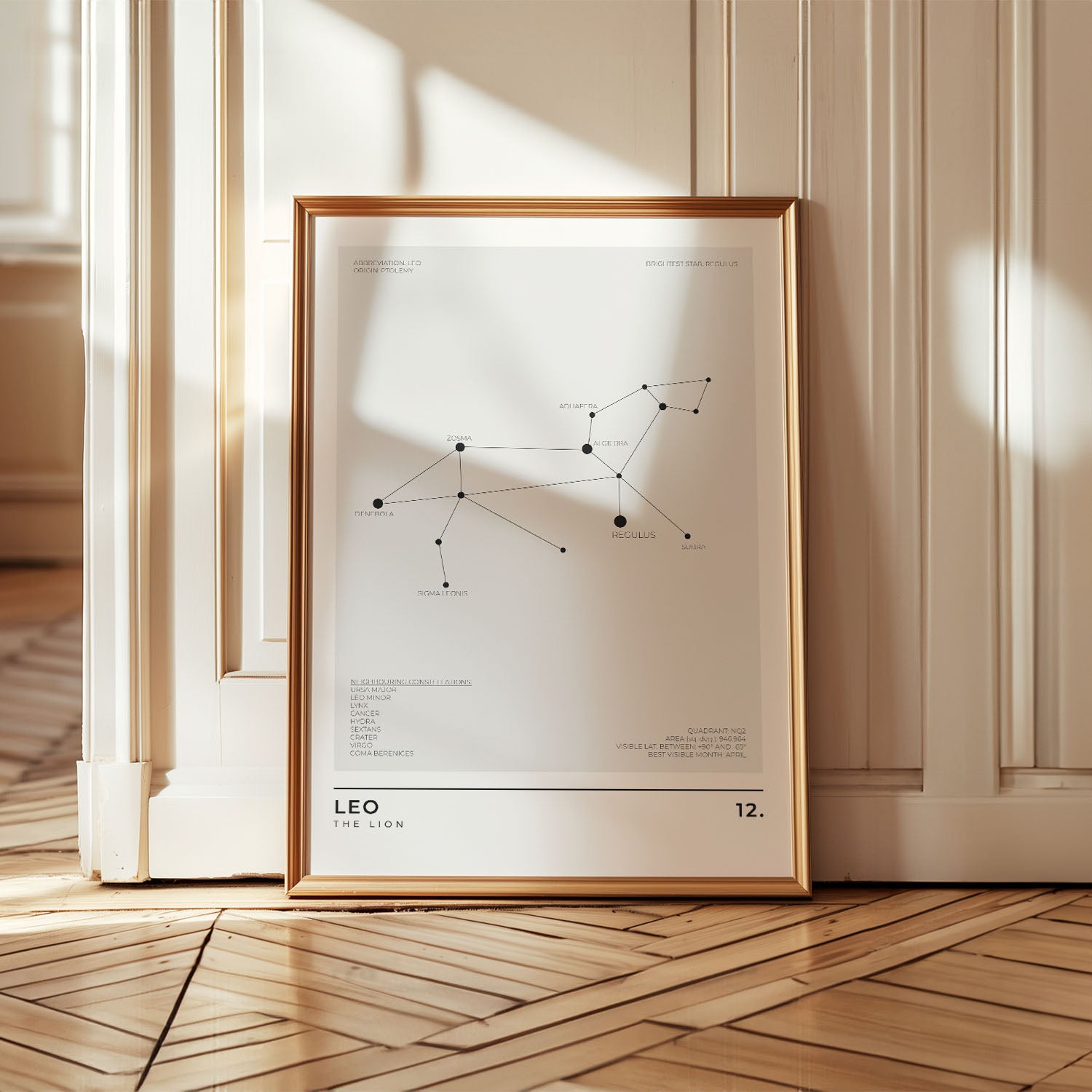 Leo Constellation Art Print