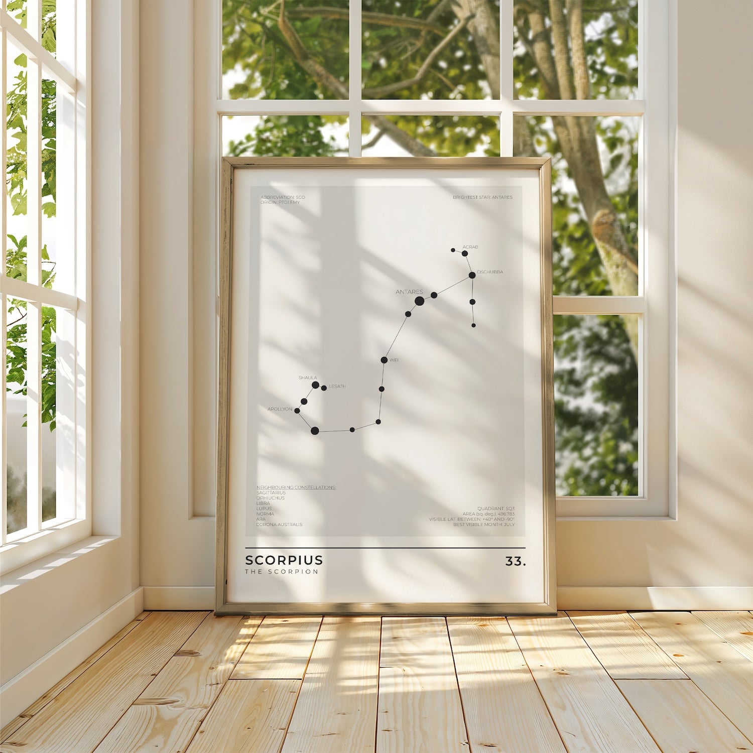 Scorpius Constellation Art Print