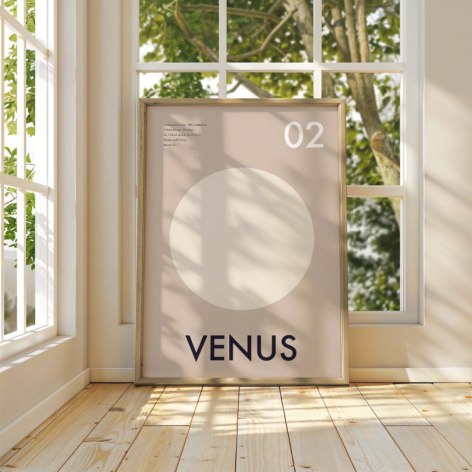 Planet Venus Art Print
