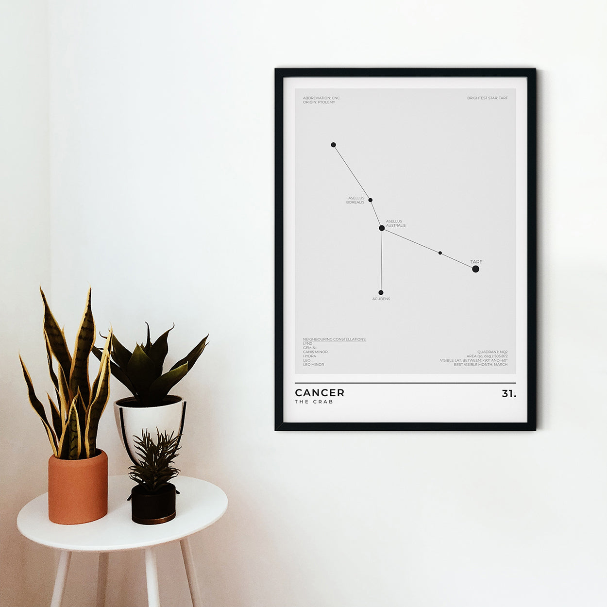 Cancer Constellation Art Print