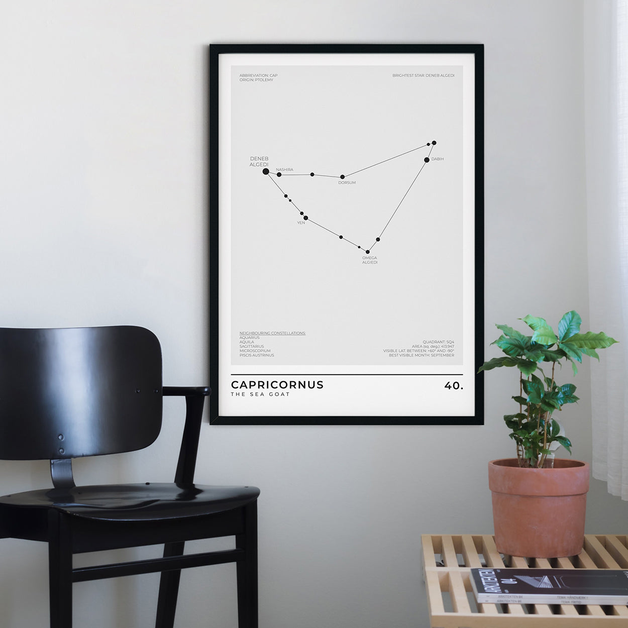 Capricornus Constellation Art Print