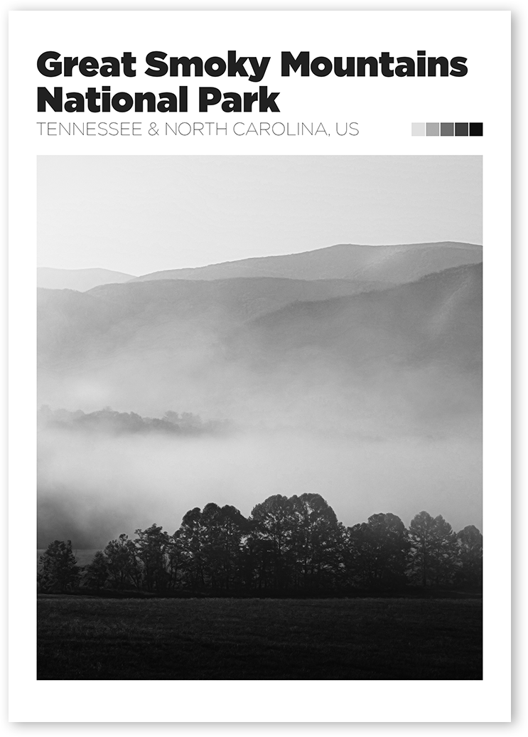 B&W print of Great Smoky Mountains National Park, USA. Poster shows a foggy field with trees and mountains in the background.